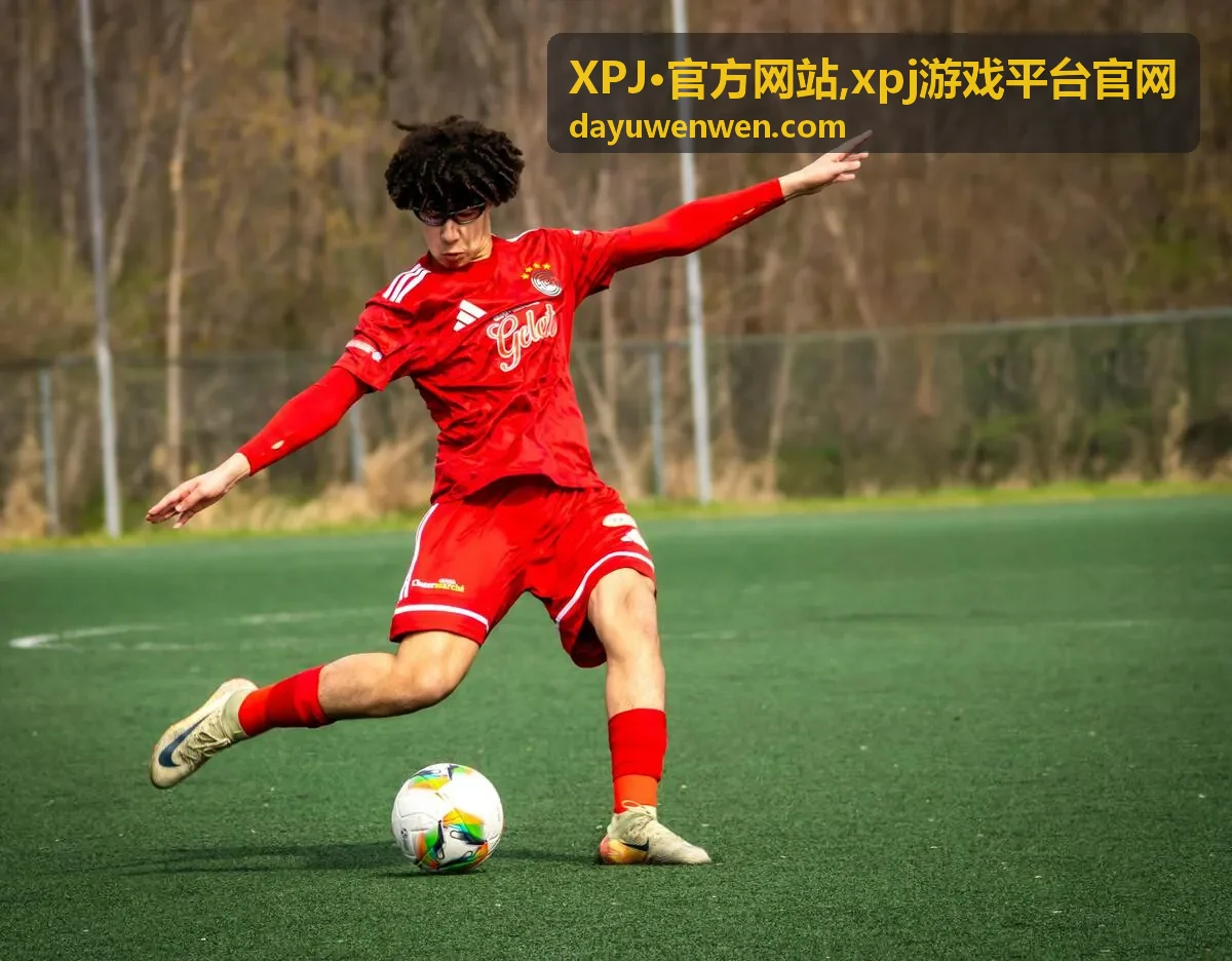XPJ·官方网站xpj游戏平台官网平台封面