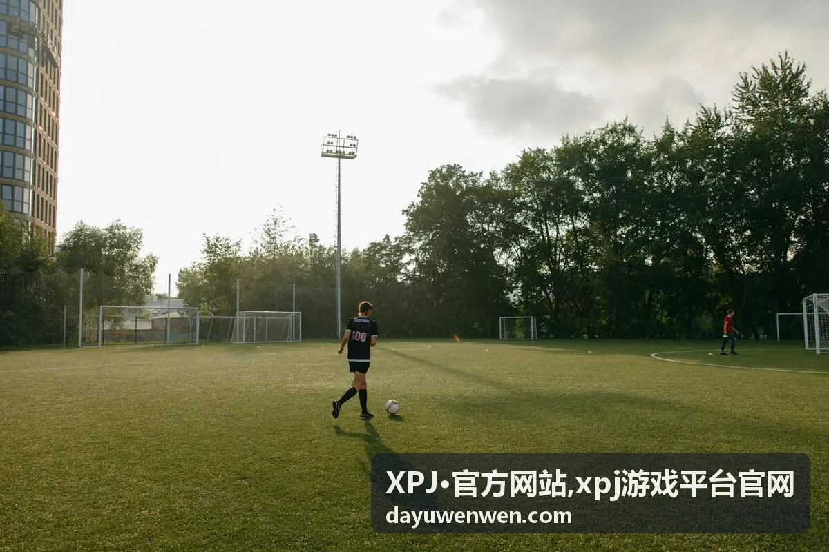 xpj游戏平台官网内容分类浏览